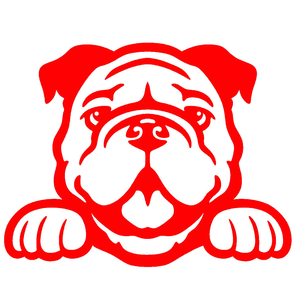 bulldog peeking v1 single color transfer type decal