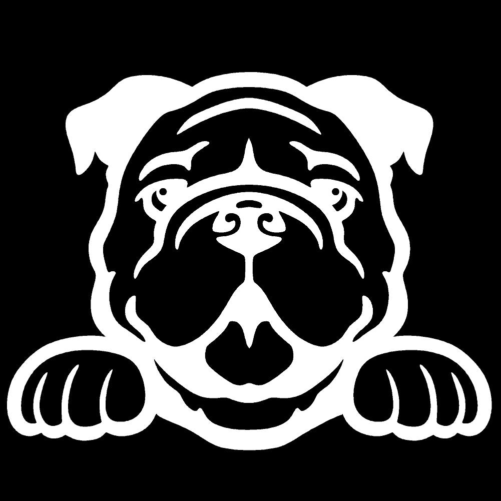 bulldog peeking v1 single color transfer type decal
