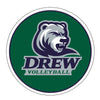 Drew Volleyball -  5.5