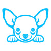 chihuahua peeking cute dog v1 single color transfer type decal