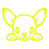 chihuahua peeking cute dog v1 single color transfer type decal