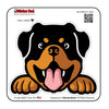 rottweiler peeking 1204 dog peeking - full color printed sticker